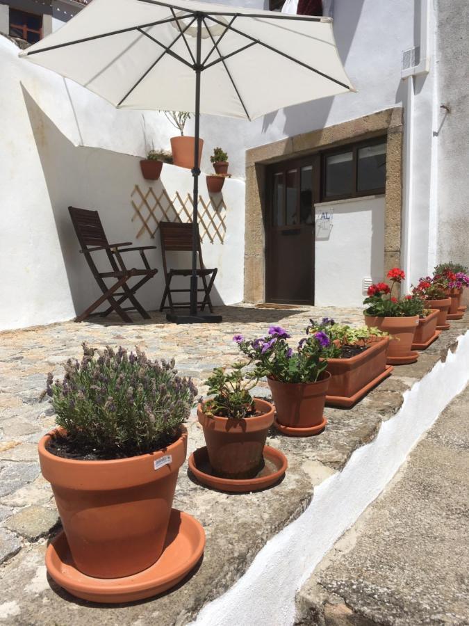 Casa Da Avo Tina - Apartamento Каштелу де Виде Екстериор снимка